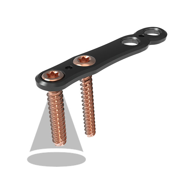 Screw and Plate
