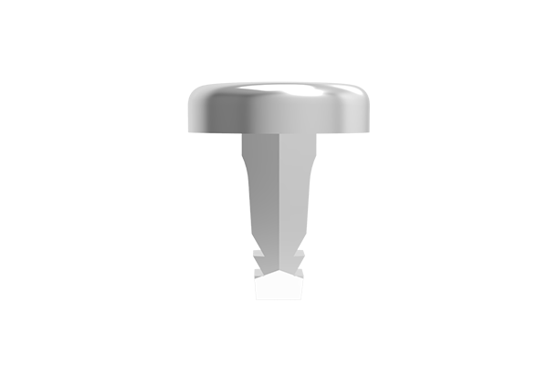 lesser transparent